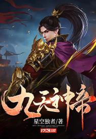 九天神帝全文免费阅读陆沉