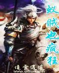 蚁贼什么意思