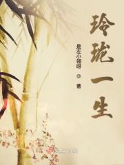 玲珑一生原著免费阅读全文