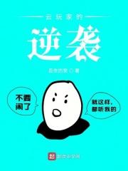 云玩家的含义