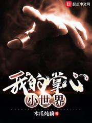 掌心的世界第四集