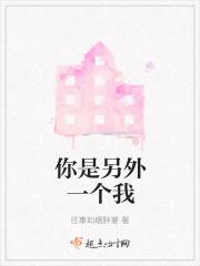 你是另一个我歌词含义