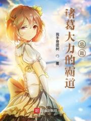 诸葛大力单女主