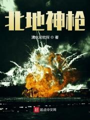 北地枪王张绣大结局