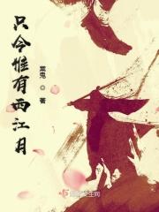 只今惟有西江月手法