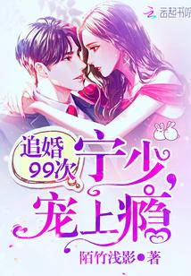 叶少追妻99次