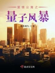 爱情公寓子子乔风流记