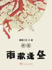 昨夜雨疏风骤的下一句