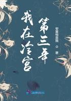 我在冷宫第三年肖小七身份