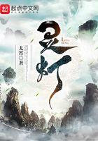灵灯侍者携带等级