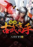 都市古武高手李云飞