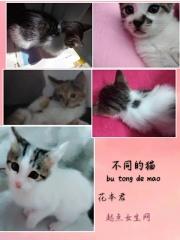 猫粮可以混合一起吃吗