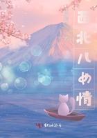 西北好儿郎是什么意思