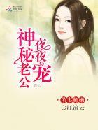 萌妻鲜嫩神秘老公晚上见 第六册 江流云