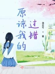 原谅我的过错什么歌曲