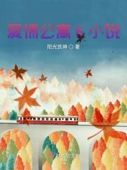 爱情公寓1-9完结