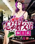 总裁校花赖上我动画