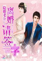 隐婚前夫离婚请签字 作者念香