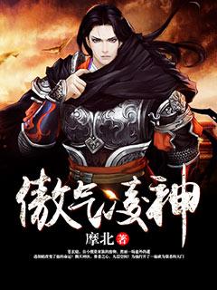 傲气凌神主角几个老婆