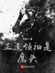 正道实力